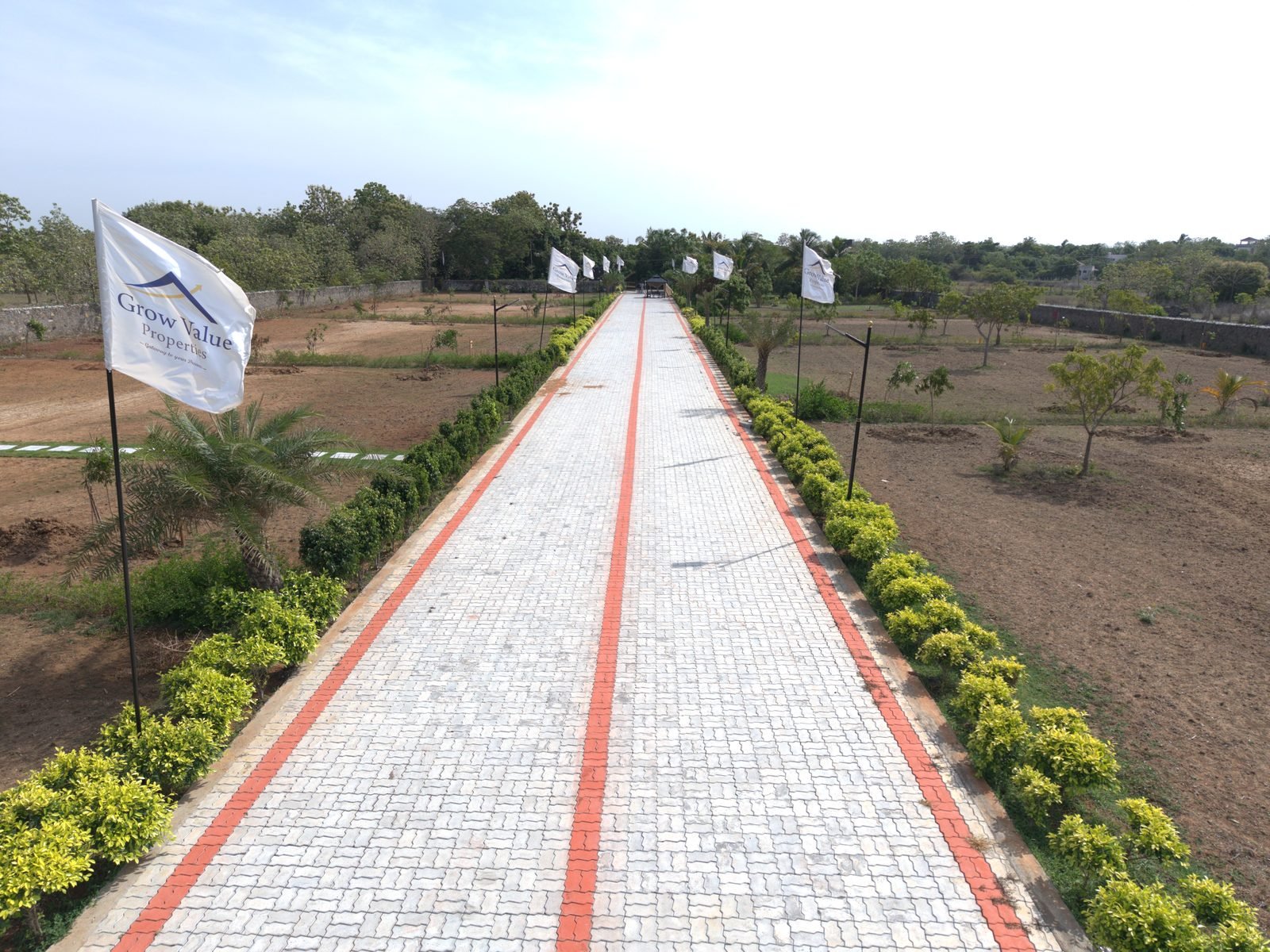Paved internal road lined with saplings at Mannvaasam Farms, ECR Mahabalipuram